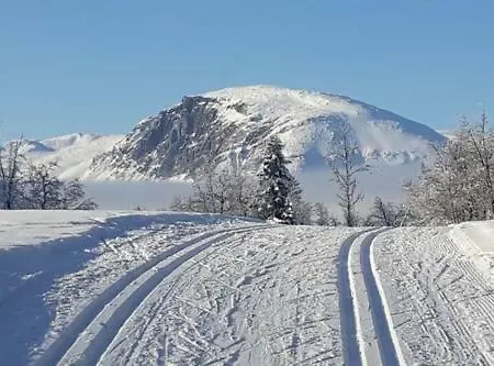 Apartment Ski, Fish, Golf, Hiking In *